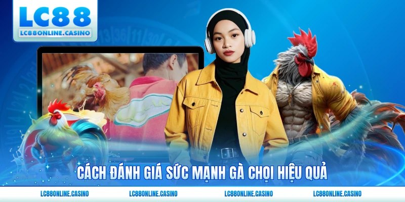 Cách đánh giá sức mạnh gà chọi hiệu quả