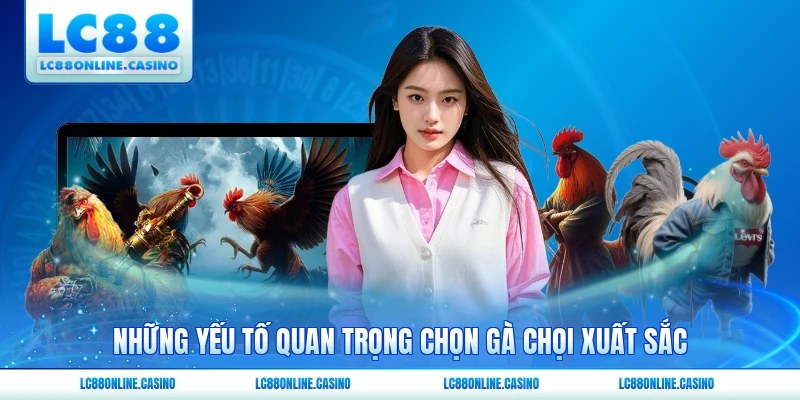 Những yếu tố quan trọng chọn gà chọi xuất sắc