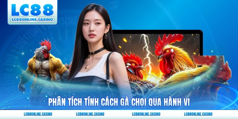 Phân tích tính cách gà chọi qua hành vi